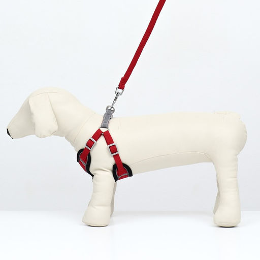 Комплект Sport+, М, поводок 120 x 1,5 см, ОШ 44-48 см, ОГ 51-60 см, вес животного 14-20 кг, красный - Пижон фото 2