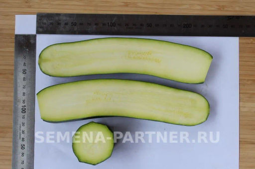 Кабачок цукини Нефрит - Партнер фото 2