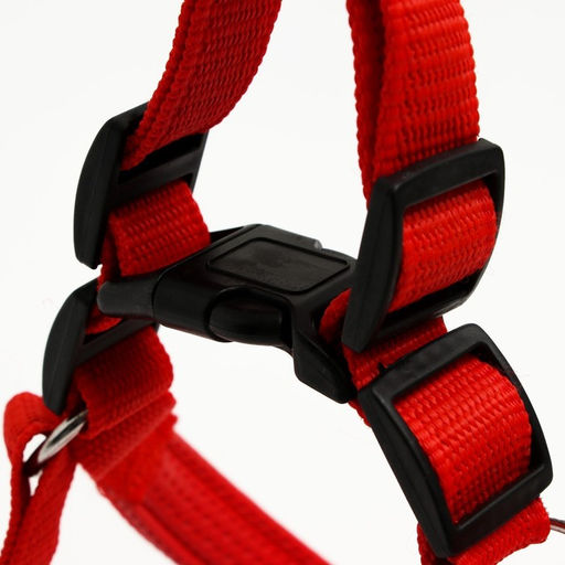 Шлейка Комфорт комбинированная, 2,5 см, ОШ 55-70 см, ОГ 60-73 см, красная - Пижон фото 2