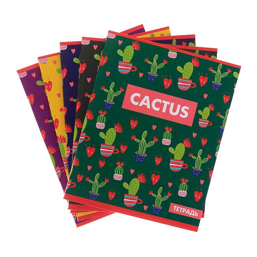 Цена за 4 шт. Тетрадь 48 листов в клетку, Calligrata «Кактус», МИКС