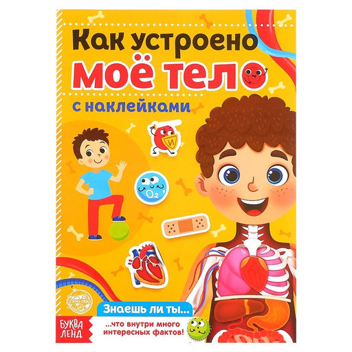 Цена за 2 шт. Наклейки «Как устроено моё тело», 16 стр.