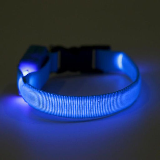 Ошейник светящийся узкий для небольших собак, 26 х 1,5 см, голубой - Пижон фото 5