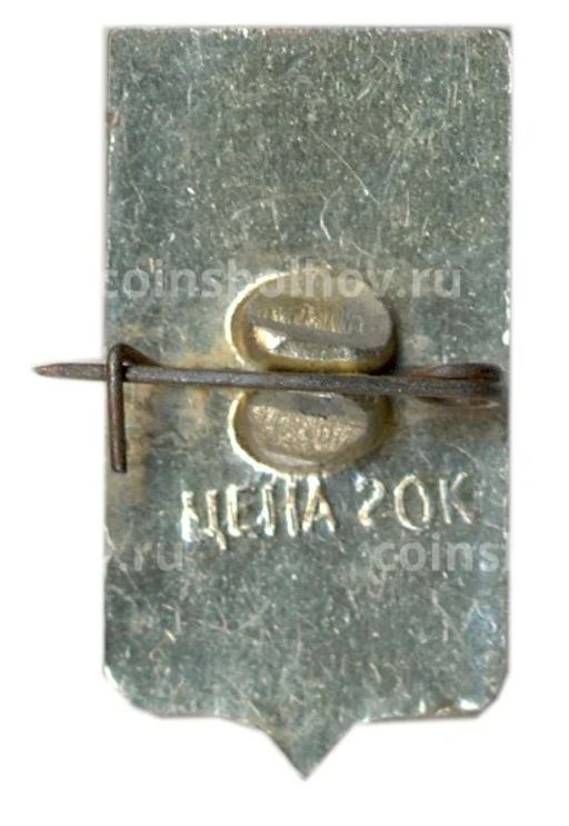 Значок Ростов