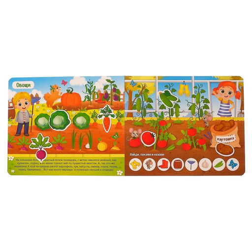 Книжка с липучками Что где растёт? 12 стр. - Буква-ленд фото 4