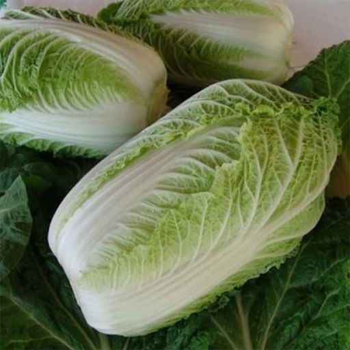 5136D Капуста пекинская Медалист F1 10шт