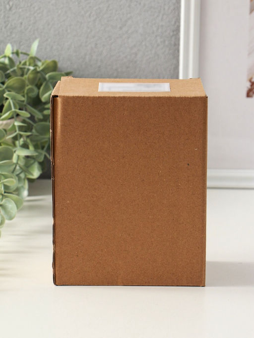 Фигурка светящаяся «Ганеша в арке», прозрачный, 10×10×18.5 см