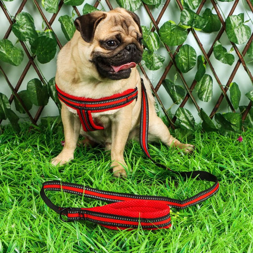 Комплект амуниции светоотражающий с мягкими шлейкой и ручкой, поводок 120 х 2 см, ОШ 25-72 см, красн - Пижон фото 8