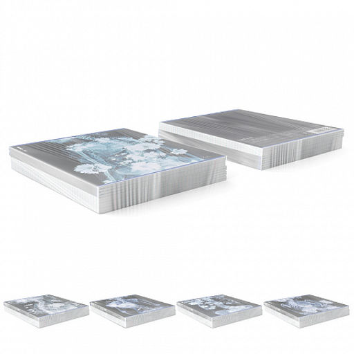 Цена за 5 шт. Тетрадь общая ученическая ErichKrause Flower Ray, 48 листов, клетка, металлизированный голографический картон_MIX-PACK  фото 9