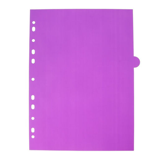 Цена за 2 шт. Разделитель листов A4 (245×305 мм), цветовой, 12 листов, «deVENTE. Pastel», полипропилен 140 мкм, индивидуальная упаковка