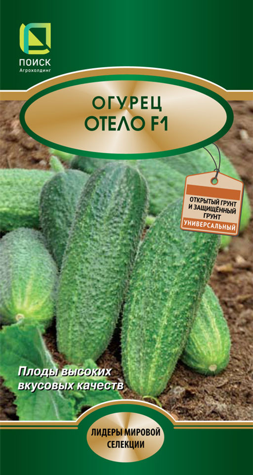 Огурец Отело F1 (ЦВ*) 12шт. - Поиск фото 2
