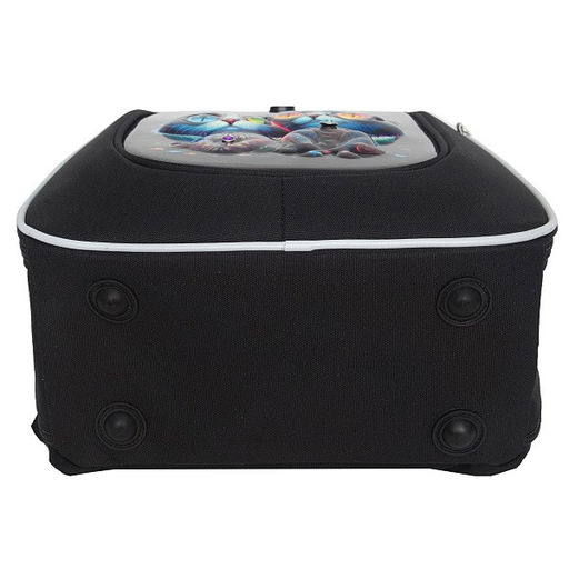 RAf-592-2 Рюкзак школьный