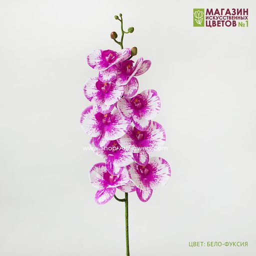 004 Орхидея фаленопсис "Жозель" (9 цветков)