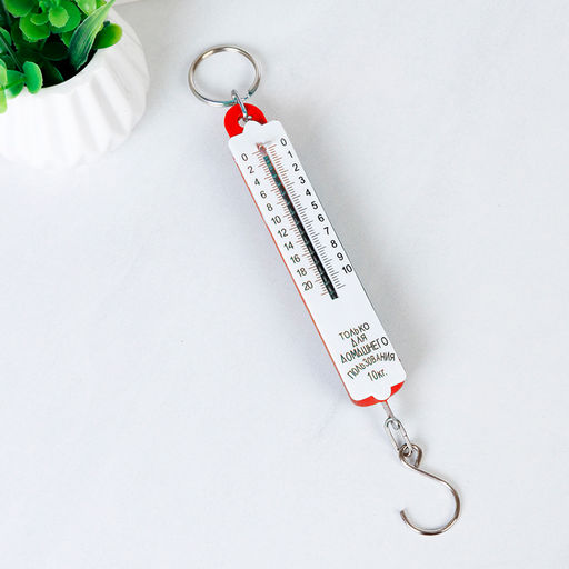 Весы безмен 10 кг арт. YD-10 (742435)