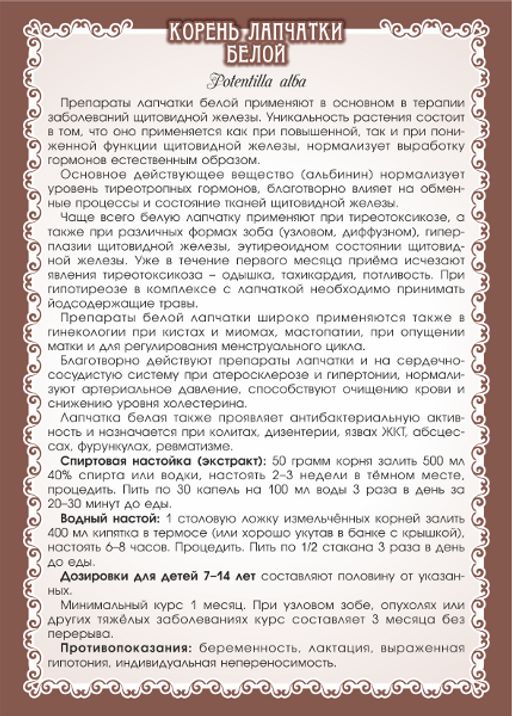 Лапчатка белая (молотый корень) - Мариславна фото 3