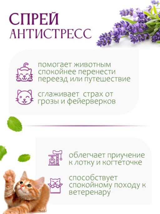 Спрей для котов Антистресс - Травы горного крыма фото 2