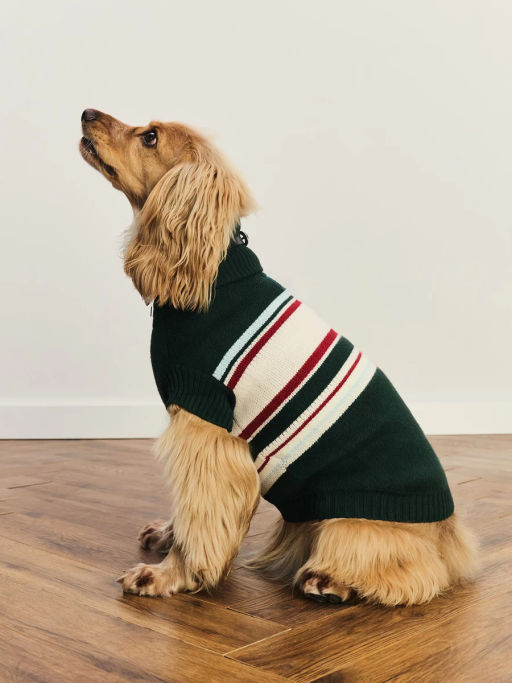 джемпер (попона) для животных / Zarina  фото 2