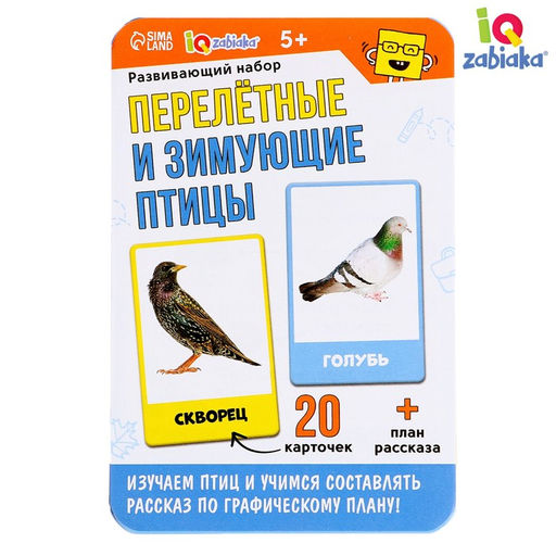 Развивающий набор Перелётные и зимующие птицы