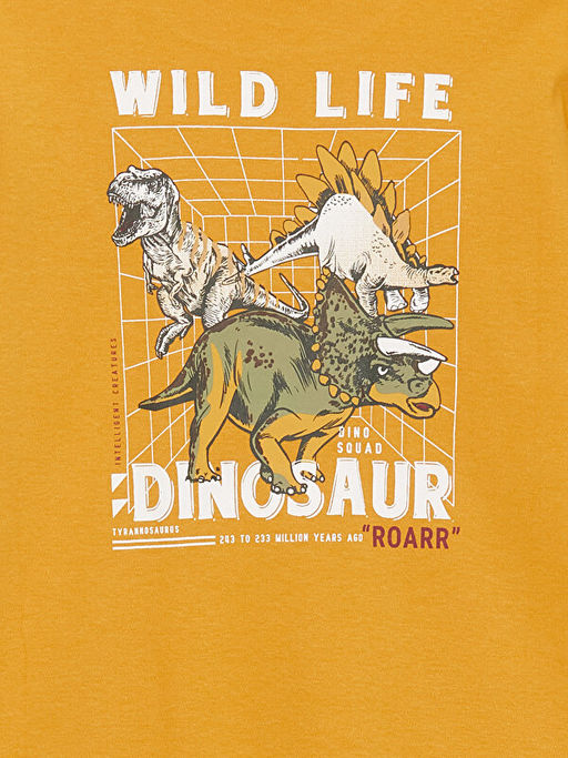 Bisiklet Yaka Bask?l? Uzun Kollu Erkek ?ocuk Ti??rt - Waikiki фото 2