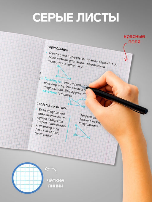 Комплект тетрадей из 5 шт (4 разные + 1 повторяющаяся МИКС), 48 листов, клетка, Россия, обложка мелованная бумага, блок №2, белизна 75% (серые листы) - Calligrata фото 5