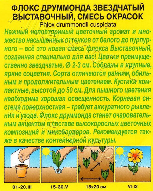 Флокс Выставочный (смесь окрасок) 0,2г (Аэлита)