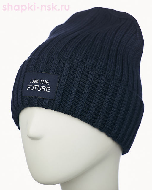 017 1S/1 IF SHM Дарвел Колпак мужской (58-60)