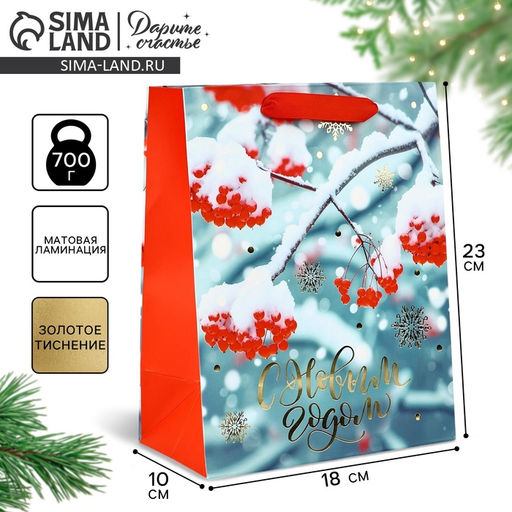 Пакет подарочный новогодний ламинированный «С Новым годом», MS 23×18×10 см