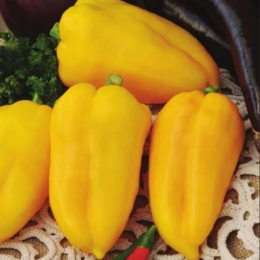 5061D Перец сладкий Гладиатор Агро 5шт