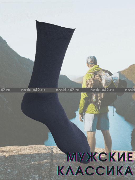 Цена за 10 пар. Легион носки мужские АССОРТИ 27  фото 4