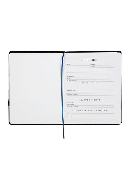 Дневник школьный 1-11 класс, лассе, обложка искуственная кожа серая, с хлястиком, с ручкой   1096906