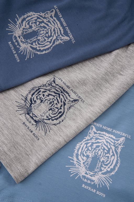 Трусы для мальчика 3шт. Baykar  фото 3