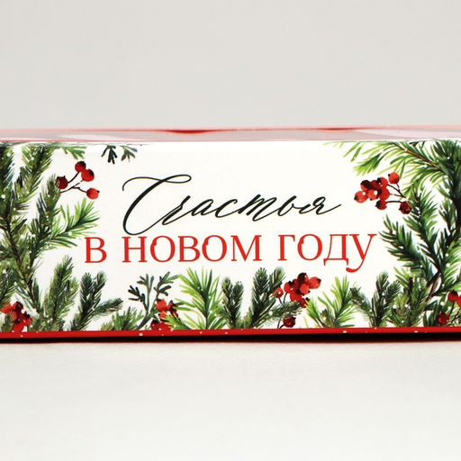 Цена за 5 шт. Коробка под 3 конфеты новогодняя с ячейками Счастье, 13 х 3 х 5.5 см - Дарите счастье фото 5