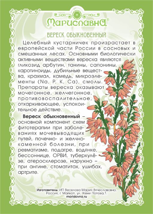 2 шт. Вереск обыкновенный (трава и цветы) - Мариславна фото 3
