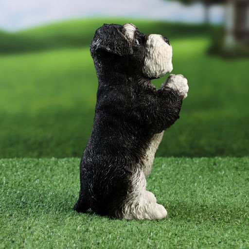 Фигурка полистоун «Попрошайка Шнауцер», 9×10×21 см