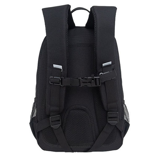 RG-464-3f Рюкзак школьный - Grizzly фото 48