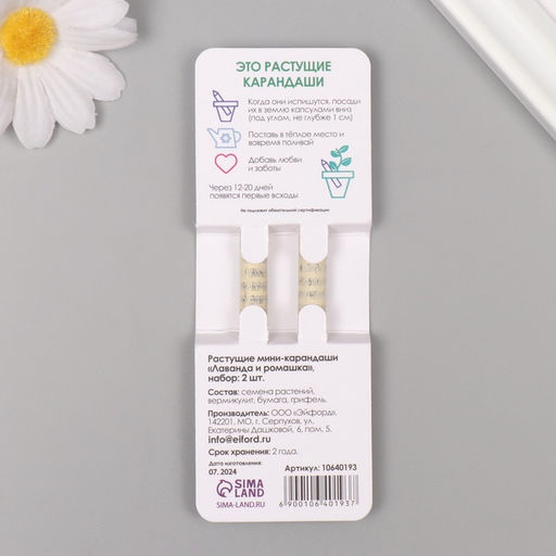 Набор для выращивания, карандаши подарочные «Ромашка + Лаванда», mini, простые чернографитные, 2 шт.