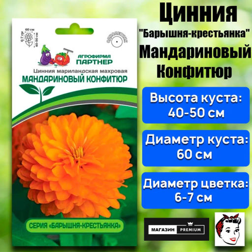 Цинния махровая Барышня-крестьянка Мандариновый Конфитюр - Партнер фото 2