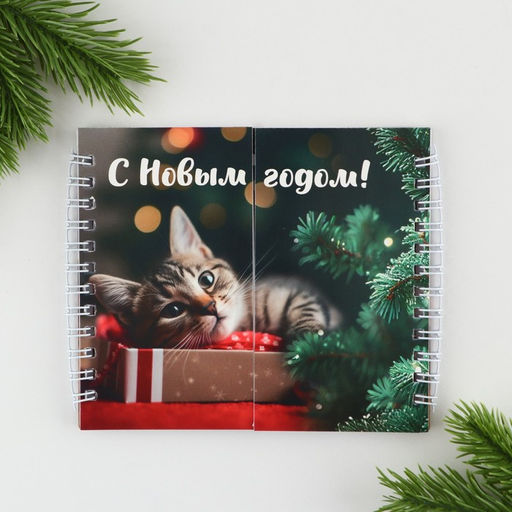 Двойной блокнот на гребнях С новым годом!