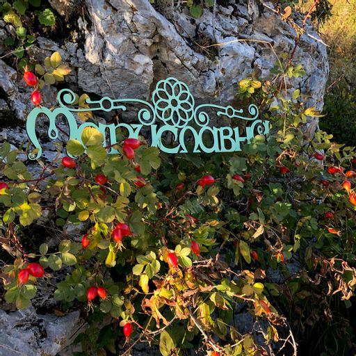 Шиповник (порошок) - Мариславна фото 2