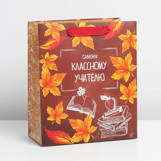 Цена за 2 шт. Пакет подарочный ламинированный, упаковка, «Учитель года», ML 27 х 23 х 11.5 см