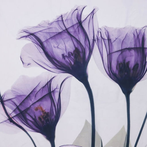 Штора для ванной Доляна «Магические цветы», 180×180 см