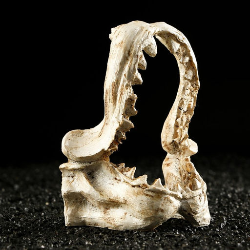 Декор для аквариума «Челюсти», 9.5×6×11 см