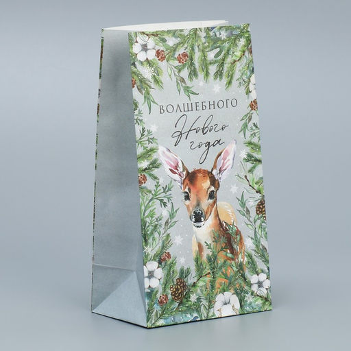 Цена за 10 шт. Пакет подарочный без ручек Волшебного Нового года, 10?19.5?7 см