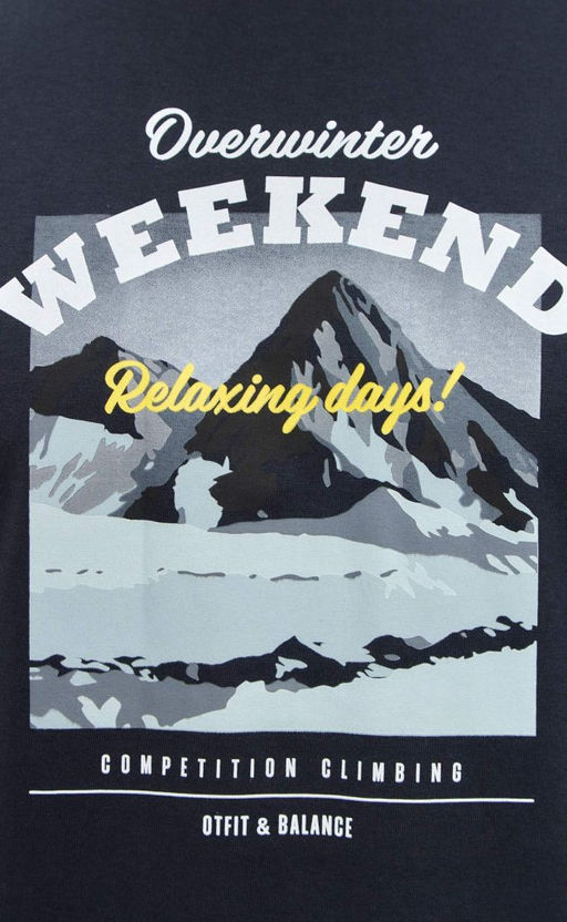 Футболка F411-06-830 d.grey - Fine joyce фото 4