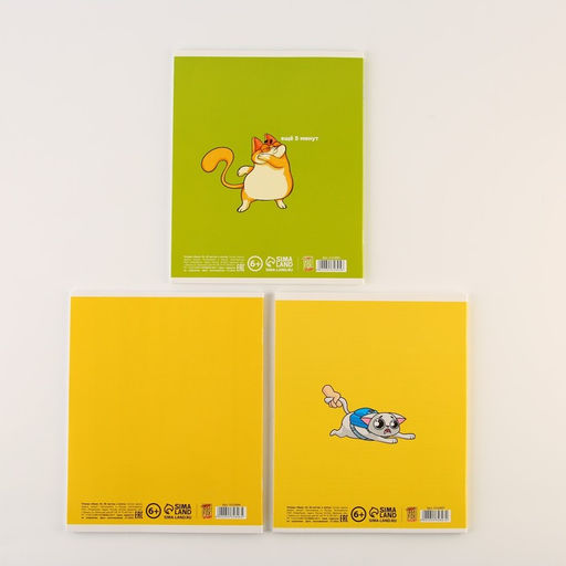 Тетради предметные, 48 л., А5, набор из 3 шт. «Персонажи»