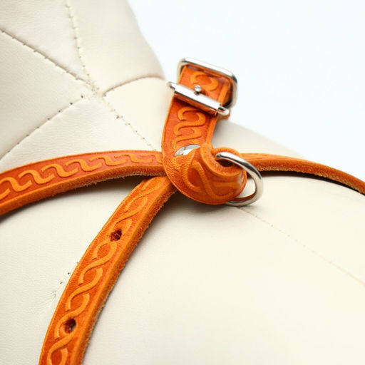 Шлейка кожаная для кошек и маленьких собак,ОШ19-30 см,ОГ 25-37 см,1.2 см, микс видов, цветов - Пижон фото 3