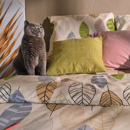 Постельное бельё Этель евро Foliage 200 *217 см, 220*240 см, 70*70 см -2 шт, бязь фото 8