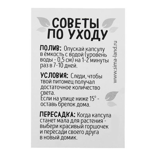 Набор для опытов Живой брелок - Эврики фото 2