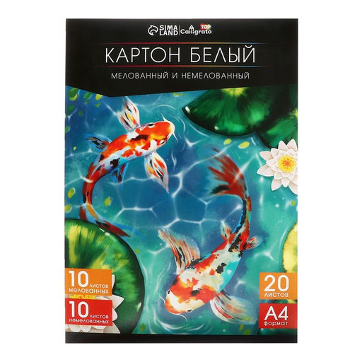 Картон белый А4, 20 листов: 10 листов мелованного плотность 200 г/м², 10 листов немелованного плотность 200 г/м², в папке