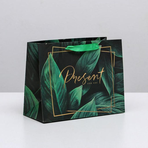 Пакет ламинированный горизонтальный Present for you, S 15 12 5,5 см