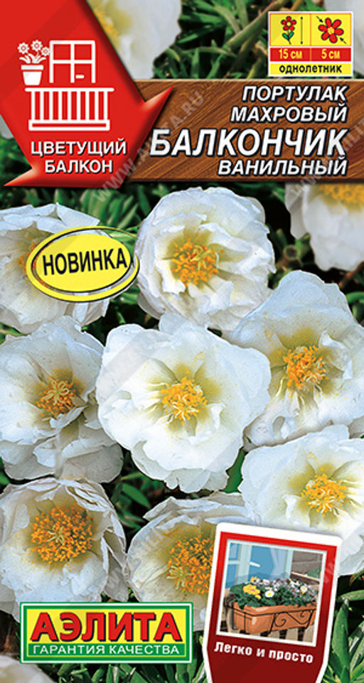 Портулак махровый Балкончик ванильный